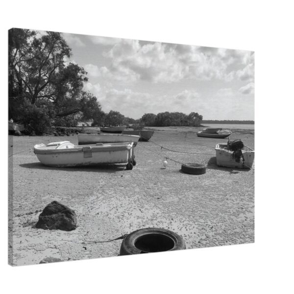 Boats Canvas